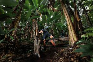 BIB: 
                            <button type="button" onclick="openModal(22420189)" class="btn btn-primary btn-sm float-right btn-popup" data-toggle="modal" data-target=".modal-high-quality">
                        <i class="fas fa-shopping-cart"></i> Add to Cart
                    </button>
                                            <button type="button" onclick="isThisMe(22420189, true)" class="btn btn-success btn-sm float-right btn-popup btn-isme hidden" data-toggle="tooltip" data-placement="bottom" title="นี่คือรูปของคุณใช่ไหม คลิกที่นี่เพื่อเอาเข้าอัลบั้ม">
                        <i class="fas fa-plus"></i> Add to album
                    </button>
                    <button type="button" onclick="isThisMe(22420189, false)" class="btn btn-warning btn-sm float-right btn-popup btn-isnotme hidden">
                        <i class="fas fa-ban"></i> Remove from album
                    </button>