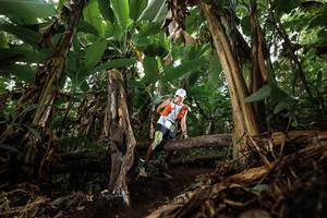 BIB: 
                            <button type="button" onclick="openModal(22392812)" class="btn btn-primary btn-sm float-right btn-popup" data-toggle="modal" data-target=".modal-high-quality">
                        <i class="fas fa-shopping-cart"></i> Add to Cart
                    </button>
                                            <button type="button" onclick="isThisMe(22392812, true)" class="btn btn-success btn-sm float-right btn-popup btn-isme hidden" data-toggle="tooltip" data-placement="bottom" title="นี่คือรูปของคุณใช่ไหม คลิกที่นี่เพื่อเอาเข้าอัลบั้ม">
                        <i class="fas fa-plus"></i> Add to album
                    </button>
                    <button type="button" onclick="isThisMe(22392812, false)" class="btn btn-warning btn-sm float-right btn-popup btn-isnotme hidden">
                        <i class="fas fa-ban"></i> Remove from album
                    </button>