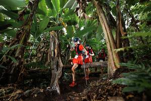 BIB: 
                            <button type="button" onclick="openModal(22394389)" class="btn btn-primary btn-sm float-right btn-popup" data-toggle="modal" data-target=".modal-high-quality">
                        <i class="fas fa-shopping-cart"></i> Add to Cart
                    </button>
                                            <button type="button" onclick="isThisMe(22394389, true)" class="btn btn-success btn-sm float-right btn-popup btn-isme hidden" data-toggle="tooltip" data-placement="bottom" title="นี่คือรูปของคุณใช่ไหม คลิกที่นี่เพื่อเอาเข้าอัลบั้ม">
                        <i class="fas fa-plus"></i> Add to album
                    </button>
                    <button type="button" onclick="isThisMe(22394389, false)" class="btn btn-warning btn-sm float-right btn-popup btn-isnotme hidden">
                        <i class="fas fa-ban"></i> Remove from album
                    </button>