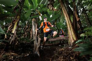 BIB: 
                            <button type="button" onclick="openModal(22421959)" class="btn btn-primary btn-sm float-right btn-popup" data-toggle="modal" data-target=".modal-high-quality">
                        <i class="fas fa-shopping-cart"></i> Add to Cart
                    </button>
                                            <button type="button" onclick="isThisMe(22421959, true)" class="btn btn-success btn-sm float-right btn-popup btn-isme hidden" data-toggle="tooltip" data-placement="bottom" title="นี่คือรูปของคุณใช่ไหม คลิกที่นี่เพื่อเอาเข้าอัลบั้ม">
                        <i class="fas fa-plus"></i> Add to album
                    </button>
                    <button type="button" onclick="isThisMe(22421959, false)" class="btn btn-warning btn-sm float-right btn-popup btn-isnotme hidden">
                        <i class="fas fa-ban"></i> Remove from album
                    </button>