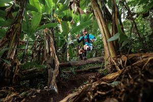 BIB: 
                            <button type="button" onclick="openModal(22392743)" class="btn btn-primary btn-sm float-right btn-popup" data-toggle="modal" data-target=".modal-high-quality">
                        <i class="fas fa-shopping-cart"></i> Add to Cart
                    </button>
                                            <button type="button" onclick="isThisMe(22392743, true)" class="btn btn-success btn-sm float-right btn-popup btn-isme hidden" data-toggle="tooltip" data-placement="bottom" title="นี่คือรูปของคุณใช่ไหม คลิกที่นี่เพื่อเอาเข้าอัลบั้ม">
                        <i class="fas fa-plus"></i> Add to album
                    </button>
                    <button type="button" onclick="isThisMe(22392743, false)" class="btn btn-warning btn-sm float-right btn-popup btn-isnotme hidden">
                        <i class="fas fa-ban"></i> Remove from album
                    </button>