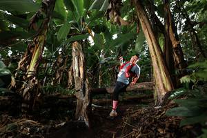 BIB: 
                            <button type="button" onclick="openModal(22422157)" class="btn btn-primary btn-sm float-right btn-popup" data-toggle="modal" data-target=".modal-high-quality">
                        <i class="fas fa-shopping-cart"></i> Add to Cart
                    </button>
                                            <button type="button" onclick="isThisMe(22422157, true)" class="btn btn-success btn-sm float-right btn-popup btn-isme hidden" data-toggle="tooltip" data-placement="bottom" title="นี่คือรูปของคุณใช่ไหม คลิกที่นี่เพื่อเอาเข้าอัลบั้ม">
                        <i class="fas fa-plus"></i> Add to album
                    </button>
                    <button type="button" onclick="isThisMe(22422157, false)" class="btn btn-warning btn-sm float-right btn-popup btn-isnotme hidden">
                        <i class="fas fa-ban"></i> Remove from album
                    </button>