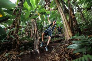 BIB: 
                            <button type="button" onclick="openModal(22415203)" class="btn btn-primary btn-sm float-right btn-popup" data-toggle="modal" data-target=".modal-high-quality">
                        <i class="fas fa-shopping-cart"></i> Add to Cart
                    </button>
                                            <button type="button" onclick="isThisMe(22415203, true)" class="btn btn-success btn-sm float-right btn-popup btn-isme hidden" data-toggle="tooltip" data-placement="bottom" title="นี่คือรูปของคุณใช่ไหม คลิกที่นี่เพื่อเอาเข้าอัลบั้ม">
                        <i class="fas fa-plus"></i> Add to album
                    </button>
                    <button type="button" onclick="isThisMe(22415203, false)" class="btn btn-warning btn-sm float-right btn-popup btn-isnotme hidden">
                        <i class="fas fa-ban"></i> Remove from album
                    </button>