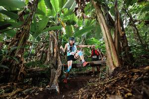 BIB: 
                            <button type="button" onclick="openModal(22392977)" class="btn btn-primary btn-sm float-right btn-popup" data-toggle="modal" data-target=".modal-high-quality">
                        <i class="fas fa-shopping-cart"></i> Add to Cart
                    </button>
                                            <button type="button" onclick="isThisMe(22392977, true)" class="btn btn-success btn-sm float-right btn-popup btn-isme hidden" data-toggle="tooltip" data-placement="bottom" title="นี่คือรูปของคุณใช่ไหม คลิกที่นี่เพื่อเอาเข้าอัลบั้ม">
                        <i class="fas fa-plus"></i> Add to album
                    </button>
                    <button type="button" onclick="isThisMe(22392977, false)" class="btn btn-warning btn-sm float-right btn-popup btn-isnotme hidden">
                        <i class="fas fa-ban"></i> Remove from album
                    </button>