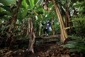 BIB: 
                            <button type="button" onclick="openModal(22394154)" class="btn btn-primary btn-sm float-right btn-popup" data-toggle="modal" data-target=".modal-high-quality">
                        <i class="fas fa-shopping-cart"></i> Add to Cart
                    </button>
                                            <button type="button" onclick="isThisMe(22394154, true)" class="btn btn-success btn-sm float-right btn-popup btn-isme hidden" data-toggle="tooltip" data-placement="bottom" title="นี่คือรูปของคุณใช่ไหม คลิกที่นี่เพื่อเอาเข้าอัลบั้ม">
                        <i class="fas fa-plus"></i> Add to album
                    </button>
                    <button type="button" onclick="isThisMe(22394154, false)" class="btn btn-warning btn-sm float-right btn-popup btn-isnotme hidden">
                        <i class="fas fa-ban"></i> Remove from album
                    </button>