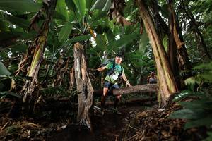 BIB: 
                            <button type="button" onclick="openModal(22421937)" class="btn btn-primary btn-sm float-right btn-popup" data-toggle="modal" data-target=".modal-high-quality">
                        <i class="fas fa-shopping-cart"></i> Add to Cart
                    </button>
                                            <button type="button" onclick="isThisMe(22421937, true)" class="btn btn-success btn-sm float-right btn-popup btn-isme hidden" data-toggle="tooltip" data-placement="bottom" title="นี่คือรูปของคุณใช่ไหม คลิกที่นี่เพื่อเอาเข้าอัลบั้ม">
                        <i class="fas fa-plus"></i> Add to album
                    </button>
                    <button type="button" onclick="isThisMe(22421937, false)" class="btn btn-warning btn-sm float-right btn-popup btn-isnotme hidden">
                        <i class="fas fa-ban"></i> Remove from album
                    </button>