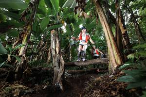 BIB: 
                            <button type="button" onclick="openModal(22419793)" class="btn btn-primary btn-sm float-right btn-popup" data-toggle="modal" data-target=".modal-high-quality">
                        <i class="fas fa-shopping-cart"></i> Add to Cart
                    </button>
                                            <button type="button" onclick="isThisMe(22419793, true)" class="btn btn-success btn-sm float-right btn-popup btn-isme hidden" data-toggle="tooltip" data-placement="bottom" title="นี่คือรูปของคุณใช่ไหม คลิกที่นี่เพื่อเอาเข้าอัลบั้ม">
                        <i class="fas fa-plus"></i> Add to album
                    </button>
                    <button type="button" onclick="isThisMe(22419793, false)" class="btn btn-warning btn-sm float-right btn-popup btn-isnotme hidden">
                        <i class="fas fa-ban"></i> Remove from album
                    </button>