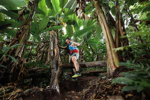 BIB: 
                            <button type="button" onclick="openModal(22397925)" class="btn btn-primary btn-sm float-right btn-popup" data-toggle="modal" data-target=".modal-high-quality">
                        <i class="fas fa-shopping-cart"></i> Add to Cart
                    </button>
                                            <button type="button" onclick="isThisMe(22397925, true)" class="btn btn-success btn-sm float-right btn-popup btn-isme hidden" data-toggle="tooltip" data-placement="bottom" title="นี่คือรูปของคุณใช่ไหม คลิกที่นี่เพื่อเอาเข้าอัลบั้ม">
                        <i class="fas fa-plus"></i> Add to album
                    </button>
                    <button type="button" onclick="isThisMe(22397925, false)" class="btn btn-warning btn-sm float-right btn-popup btn-isnotme hidden">
                        <i class="fas fa-ban"></i> Remove from album
                    </button>