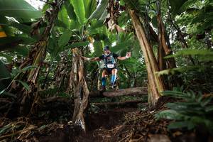 BIB: 
                            <button type="button" onclick="openModal(22398988)" class="btn btn-primary btn-sm float-right btn-popup" data-toggle="modal" data-target=".modal-high-quality">
                        <i class="fas fa-shopping-cart"></i> Add to Cart
                    </button>
                                            <button type="button" onclick="isThisMe(22398988, true)" class="btn btn-success btn-sm float-right btn-popup btn-isme hidden" data-toggle="tooltip" data-placement="bottom" title="นี่คือรูปของคุณใช่ไหม คลิกที่นี่เพื่อเอาเข้าอัลบั้ม">
                        <i class="fas fa-plus"></i> Add to album
                    </button>
                    <button type="button" onclick="isThisMe(22398988, false)" class="btn btn-warning btn-sm float-right btn-popup btn-isnotme hidden">
                        <i class="fas fa-ban"></i> Remove from album
                    </button>