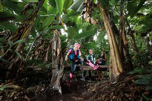 BIB: 
                            <button type="button" onclick="openModal(22417741)" class="btn btn-primary btn-sm float-right btn-popup" data-toggle="modal" data-target=".modal-high-quality">
                        <i class="fas fa-shopping-cart"></i> Add to Cart
                    </button>
                                            <button type="button" onclick="isThisMe(22417741, true)" class="btn btn-success btn-sm float-right btn-popup btn-isme hidden" data-toggle="tooltip" data-placement="bottom" title="นี่คือรูปของคุณใช่ไหม คลิกที่นี่เพื่อเอาเข้าอัลบั้ม">
                        <i class="fas fa-plus"></i> Add to album
                    </button>
                    <button type="button" onclick="isThisMe(22417741, false)" class="btn btn-warning btn-sm float-right btn-popup btn-isnotme hidden">
                        <i class="fas fa-ban"></i> Remove from album
                    </button>