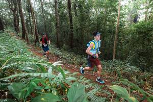 BIB: 
                            <button type="button" onclick="openModal(22485855)" class="btn btn-primary btn-sm float-right btn-popup" data-toggle="modal" data-target=".modal-high-quality">
                        <i class="fas fa-shopping-cart"></i> Add to Cart
                    </button>
                                            <button type="button" onclick="isThisMe(22485855, true)" class="btn btn-success btn-sm float-right btn-popup btn-isme hidden" data-toggle="tooltip" data-placement="bottom" title="นี่คือรูปของคุณใช่ไหม คลิกที่นี่เพื่อเอาเข้าอัลบั้ม">
                        <i class="fas fa-plus"></i> Add to album
                    </button>
                    <button type="button" onclick="isThisMe(22485855, false)" class="btn btn-warning btn-sm float-right btn-popup btn-isnotme hidden">
                        <i class="fas fa-ban"></i> Remove from album
                    </button>