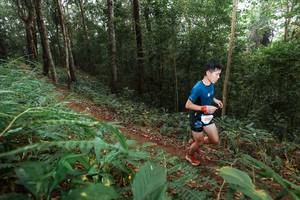 BIB: 105
                            <button type="button" onclick="openModal(22481692)" class="btn btn-primary btn-sm float-right btn-popup" data-toggle="modal" data-target=".modal-high-quality">
                        <i class="fas fa-shopping-cart"></i> Add to Cart
                    </button>
                                            <button type="button" onclick="isThisMe(22481692, true)" class="btn btn-success btn-sm float-right btn-popup btn-isme hidden" data-toggle="tooltip" data-placement="bottom" title="นี่คือรูปของคุณใช่ไหม คลิกที่นี่เพื่อเอาเข้าอัลบั้ม">
                        <i class="fas fa-plus"></i> Add to album
                    </button>
                    <button type="button" onclick="isThisMe(22481692, false)" class="btn btn-warning btn-sm float-right btn-popup btn-isnotme hidden">
                        <i class="fas fa-ban"></i> Remove from album
                    </button>