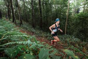 BIB: 
                            <button type="button" onclick="openModal(22482167)" class="btn btn-primary btn-sm float-right btn-popup" data-toggle="modal" data-target=".modal-high-quality">
                        <i class="fas fa-shopping-cart"></i> Add to Cart
                    </button>
                                            <button type="button" onclick="isThisMe(22482167, true)" class="btn btn-success btn-sm float-right btn-popup btn-isme hidden" data-toggle="tooltip" data-placement="bottom" title="นี่คือรูปของคุณใช่ไหม คลิกที่นี่เพื่อเอาเข้าอัลบั้ม">
                        <i class="fas fa-plus"></i> Add to album
                    </button>
                    <button type="button" onclick="isThisMe(22482167, false)" class="btn btn-warning btn-sm float-right btn-popup btn-isnotme hidden">
                        <i class="fas fa-ban"></i> Remove from album
                    </button>