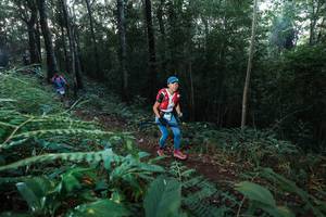 BIB: 
                            <button type="button" onclick="openModal(22466449)" class="btn btn-primary btn-sm float-right btn-popup" data-toggle="modal" data-target=".modal-high-quality">
                        <i class="fas fa-shopping-cart"></i> Add to Cart
                    </button>
                                            <button type="button" onclick="isThisMe(22466449, true)" class="btn btn-success btn-sm float-right btn-popup btn-isme hidden" data-toggle="tooltip" data-placement="bottom" title="นี่คือรูปของคุณใช่ไหม คลิกที่นี่เพื่อเอาเข้าอัลบั้ม">
                        <i class="fas fa-plus"></i> Add to album
                    </button>
                    <button type="button" onclick="isThisMe(22466449, false)" class="btn btn-warning btn-sm float-right btn-popup btn-isnotme hidden">
                        <i class="fas fa-ban"></i> Remove from album
                    </button>