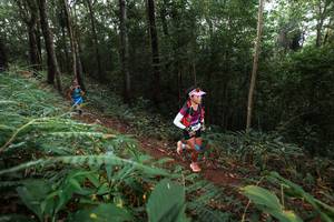 BIB: 
                            <button type="button" onclick="openModal(22480408)" class="btn btn-primary btn-sm float-right btn-popup" data-toggle="modal" data-target=".modal-high-quality">
                        <i class="fas fa-shopping-cart"></i> Add to Cart
                    </button>
                                            <button type="button" onclick="isThisMe(22480408, true)" class="btn btn-success btn-sm float-right btn-popup btn-isme hidden" data-toggle="tooltip" data-placement="bottom" title="นี่คือรูปของคุณใช่ไหม คลิกที่นี่เพื่อเอาเข้าอัลบั้ม">
                        <i class="fas fa-plus"></i> Add to album
                    </button>
                    <button type="button" onclick="isThisMe(22480408, false)" class="btn btn-warning btn-sm float-right btn-popup btn-isnotme hidden">
                        <i class="fas fa-ban"></i> Remove from album
                    </button>