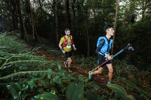 BIB: 
                            <button type="button" onclick="openModal(22463474)" class="btn btn-primary btn-sm float-right btn-popup" data-toggle="modal" data-target=".modal-high-quality">
                        <i class="fas fa-shopping-cart"></i> Add to Cart
                    </button>
                                            <button type="button" onclick="isThisMe(22463474, true)" class="btn btn-success btn-sm float-right btn-popup btn-isme hidden" data-toggle="tooltip" data-placement="bottom" title="นี่คือรูปของคุณใช่ไหม คลิกที่นี่เพื่อเอาเข้าอัลบั้ม">
                        <i class="fas fa-plus"></i> Add to album
                    </button>
                    <button type="button" onclick="isThisMe(22463474, false)" class="btn btn-warning btn-sm float-right btn-popup btn-isnotme hidden">
                        <i class="fas fa-ban"></i> Remove from album
                    </button>