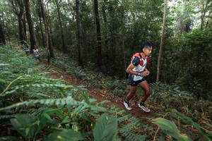 BIB: 
                            <button type="button" onclick="openModal(22482227)" class="btn btn-primary btn-sm float-right btn-popup" data-toggle="modal" data-target=".modal-high-quality">
                        <i class="fas fa-shopping-cart"></i> Add to Cart
                    </button>
                                            <button type="button" onclick="isThisMe(22482227, true)" class="btn btn-success btn-sm float-right btn-popup btn-isme hidden" data-toggle="tooltip" data-placement="bottom" title="นี่คือรูปของคุณใช่ไหม คลิกที่นี่เพื่อเอาเข้าอัลบั้ม">
                        <i class="fas fa-plus"></i> Add to album
                    </button>
                    <button type="button" onclick="isThisMe(22482227, false)" class="btn btn-warning btn-sm float-right btn-popup btn-isnotme hidden">
                        <i class="fas fa-ban"></i> Remove from album
                    </button>