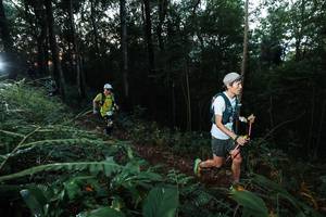 BIB: 
                            <button type="button" onclick="openModal(22451174)" class="btn btn-primary btn-sm float-right btn-popup" data-toggle="modal" data-target=".modal-high-quality">
                        <i class="fas fa-shopping-cart"></i> Add to Cart
                    </button>
                                            <button type="button" onclick="isThisMe(22451174, true)" class="btn btn-success btn-sm float-right btn-popup btn-isme hidden" data-toggle="tooltip" data-placement="bottom" title="นี่คือรูปของคุณใช่ไหม คลิกที่นี่เพื่อเอาเข้าอัลบั้ม">
                        <i class="fas fa-plus"></i> Add to album
                    </button>
                    <button type="button" onclick="isThisMe(22451174, false)" class="btn btn-warning btn-sm float-right btn-popup btn-isnotme hidden">
                        <i class="fas fa-ban"></i> Remove from album
                    </button>