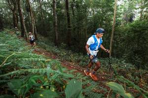 BIB: 
                            <button type="button" onclick="openModal(22481255)" class="btn btn-primary btn-sm float-right btn-popup" data-toggle="modal" data-target=".modal-high-quality">
                        <i class="fas fa-shopping-cart"></i> Add to Cart
                    </button>
                                            <button type="button" onclick="isThisMe(22481255, true)" class="btn btn-success btn-sm float-right btn-popup btn-isme hidden" data-toggle="tooltip" data-placement="bottom" title="นี่คือรูปของคุณใช่ไหม คลิกที่นี่เพื่อเอาเข้าอัลบั้ม">
                        <i class="fas fa-plus"></i> Add to album
                    </button>
                    <button type="button" onclick="isThisMe(22481255, false)" class="btn btn-warning btn-sm float-right btn-popup btn-isnotme hidden">
                        <i class="fas fa-ban"></i> Remove from album
                    </button>