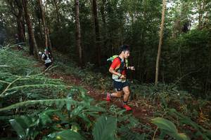 BIB: 
                            <button type="button" onclick="openModal(22464363)" class="btn btn-primary btn-sm float-right btn-popup" data-toggle="modal" data-target=".modal-high-quality">
                        <i class="fas fa-shopping-cart"></i> Add to Cart
                    </button>
                                            <button type="button" onclick="isThisMe(22464363, true)" class="btn btn-success btn-sm float-right btn-popup btn-isme hidden" data-toggle="tooltip" data-placement="bottom" title="นี่คือรูปของคุณใช่ไหม คลิกที่นี่เพื่อเอาเข้าอัลบั้ม">
                        <i class="fas fa-plus"></i> Add to album
                    </button>
                    <button type="button" onclick="isThisMe(22464363, false)" class="btn btn-warning btn-sm float-right btn-popup btn-isnotme hidden">
                        <i class="fas fa-ban"></i> Remove from album
                    </button>