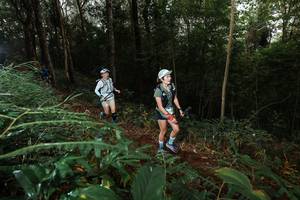 BIB: 
                            <button type="button" onclick="openModal(22463443)" class="btn btn-primary btn-sm float-right btn-popup" data-toggle="modal" data-target=".modal-high-quality">
                        <i class="fas fa-shopping-cart"></i> Add to Cart
                    </button>
                                            <button type="button" onclick="isThisMe(22463443, true)" class="btn btn-success btn-sm float-right btn-popup btn-isme hidden" data-toggle="tooltip" data-placement="bottom" title="นี่คือรูปของคุณใช่ไหม คลิกที่นี่เพื่อเอาเข้าอัลบั้ม">
                        <i class="fas fa-plus"></i> Add to album
                    </button>
                    <button type="button" onclick="isThisMe(22463443, false)" class="btn btn-warning btn-sm float-right btn-popup btn-isnotme hidden">
                        <i class="fas fa-ban"></i> Remove from album
                    </button>