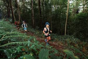 BIB: 
                            <button type="button" onclick="openModal(22464311)" class="btn btn-primary btn-sm float-right btn-popup" data-toggle="modal" data-target=".modal-high-quality">
                        <i class="fas fa-shopping-cart"></i> Add to Cart
                    </button>
                                            <button type="button" onclick="isThisMe(22464311, true)" class="btn btn-success btn-sm float-right btn-popup btn-isme hidden" data-toggle="tooltip" data-placement="bottom" title="นี่คือรูปของคุณใช่ไหม คลิกที่นี่เพื่อเอาเข้าอัลบั้ม">
                        <i class="fas fa-plus"></i> Add to album
                    </button>
                    <button type="button" onclick="isThisMe(22464311, false)" class="btn btn-warning btn-sm float-right btn-popup btn-isnotme hidden">
                        <i class="fas fa-ban"></i> Remove from album
                    </button>