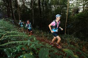 BIB: 
                            <button type="button" onclick="openModal(22462769)" class="btn btn-primary btn-sm float-right btn-popup" data-toggle="modal" data-target=".modal-high-quality">
                        <i class="fas fa-shopping-cart"></i> Add to Cart
                    </button>
                                            <button type="button" onclick="isThisMe(22462769, true)" class="btn btn-success btn-sm float-right btn-popup btn-isme hidden" data-toggle="tooltip" data-placement="bottom" title="นี่คือรูปของคุณใช่ไหม คลิกที่นี่เพื่อเอาเข้าอัลบั้ม">
                        <i class="fas fa-plus"></i> Add to album
                    </button>
                    <button type="button" onclick="isThisMe(22462769, false)" class="btn btn-warning btn-sm float-right btn-popup btn-isnotme hidden">
                        <i class="fas fa-ban"></i> Remove from album
                    </button>