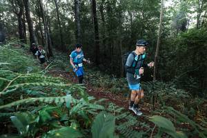 BIB: 
                            <button type="button" onclick="openModal(22477320)" class="btn btn-primary btn-sm float-right btn-popup" data-toggle="modal" data-target=".modal-high-quality">
                        <i class="fas fa-shopping-cart"></i> Add to Cart
                    </button>
                                            <button type="button" onclick="isThisMe(22477320, true)" class="btn btn-success btn-sm float-right btn-popup btn-isme hidden" data-toggle="tooltip" data-placement="bottom" title="นี่คือรูปของคุณใช่ไหม คลิกที่นี่เพื่อเอาเข้าอัลบั้ม">
                        <i class="fas fa-plus"></i> Add to album
                    </button>
                    <button type="button" onclick="isThisMe(22477320, false)" class="btn btn-warning btn-sm float-right btn-popup btn-isnotme hidden">
                        <i class="fas fa-ban"></i> Remove from album
                    </button>