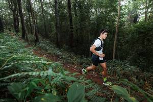 BIB: 
                            <button type="button" onclick="openModal(22482575)" class="btn btn-primary btn-sm float-right btn-popup" data-toggle="modal" data-target=".modal-high-quality">
                        <i class="fas fa-shopping-cart"></i> Add to Cart
                    </button>
                                            <button type="button" onclick="isThisMe(22482575, true)" class="btn btn-success btn-sm float-right btn-popup btn-isme hidden" data-toggle="tooltip" data-placement="bottom" title="นี่คือรูปของคุณใช่ไหม คลิกที่นี่เพื่อเอาเข้าอัลบั้ม">
                        <i class="fas fa-plus"></i> Add to album
                    </button>
                    <button type="button" onclick="isThisMe(22482575, false)" class="btn btn-warning btn-sm float-right btn-popup btn-isnotme hidden">
                        <i class="fas fa-ban"></i> Remove from album
                    </button>