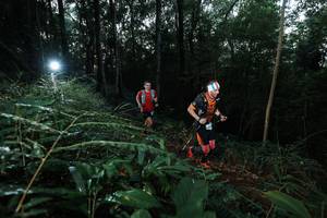 BIB: 
                            <button type="button" onclick="openModal(22450093)" class="btn btn-primary btn-sm float-right btn-popup" data-toggle="modal" data-target=".modal-high-quality">
                        <i class="fas fa-shopping-cart"></i> Add to Cart
                    </button>
                                            <button type="button" onclick="isThisMe(22450093, true)" class="btn btn-success btn-sm float-right btn-popup btn-isme hidden" data-toggle="tooltip" data-placement="bottom" title="นี่คือรูปของคุณใช่ไหม คลิกที่นี่เพื่อเอาเข้าอัลบั้ม">
                        <i class="fas fa-plus"></i> Add to album
                    </button>
                    <button type="button" onclick="isThisMe(22450093, false)" class="btn btn-warning btn-sm float-right btn-popup btn-isnotme hidden">
                        <i class="fas fa-ban"></i> Remove from album
                    </button>