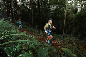 BIB: 
                            <button type="button" onclick="openModal(22462957)" class="btn btn-primary btn-sm float-right btn-popup" data-toggle="modal" data-target=".modal-high-quality">
                        <i class="fas fa-shopping-cart"></i> Add to Cart
                    </button>
                                            <button type="button" onclick="isThisMe(22462957, true)" class="btn btn-success btn-sm float-right btn-popup btn-isme hidden" data-toggle="tooltip" data-placement="bottom" title="นี่คือรูปของคุณใช่ไหม คลิกที่นี่เพื่อเอาเข้าอัลบั้ม">
                        <i class="fas fa-plus"></i> Add to album
                    </button>
                    <button type="button" onclick="isThisMe(22462957, false)" class="btn btn-warning btn-sm float-right btn-popup btn-isnotme hidden">
                        <i class="fas fa-ban"></i> Remove from album
                    </button>