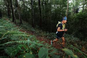 BIB: 
                            <button type="button" onclick="openModal(22480410)" class="btn btn-primary btn-sm float-right btn-popup" data-toggle="modal" data-target=".modal-high-quality">
                        <i class="fas fa-shopping-cart"></i> Add to Cart
                    </button>
                                            <button type="button" onclick="isThisMe(22480410, true)" class="btn btn-success btn-sm float-right btn-popup btn-isme hidden" data-toggle="tooltip" data-placement="bottom" title="นี่คือรูปของคุณใช่ไหม คลิกที่นี่เพื่อเอาเข้าอัลบั้ม">
                        <i class="fas fa-plus"></i> Add to album
                    </button>
                    <button type="button" onclick="isThisMe(22480410, false)" class="btn btn-warning btn-sm float-right btn-popup btn-isnotme hidden">
                        <i class="fas fa-ban"></i> Remove from album
                    </button>