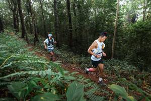 BIB: 
                            <button type="button" onclick="openModal(22482375)" class="btn btn-primary btn-sm float-right btn-popup" data-toggle="modal" data-target=".modal-high-quality">
                        <i class="fas fa-shopping-cart"></i> Add to Cart
                    </button>
                                            <button type="button" onclick="isThisMe(22482375, true)" class="btn btn-success btn-sm float-right btn-popup btn-isme hidden" data-toggle="tooltip" data-placement="bottom" title="นี่คือรูปของคุณใช่ไหม คลิกที่นี่เพื่อเอาเข้าอัลบั้ม">
                        <i class="fas fa-plus"></i> Add to album
                    </button>
                    <button type="button" onclick="isThisMe(22482375, false)" class="btn btn-warning btn-sm float-right btn-popup btn-isnotme hidden">
                        <i class="fas fa-ban"></i> Remove from album
                    </button>