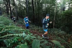 BIB: 
                            <button type="button" onclick="openModal(22477318)" class="btn btn-primary btn-sm float-right btn-popup" data-toggle="modal" data-target=".modal-high-quality">
                        <i class="fas fa-shopping-cart"></i> Add to Cart
                    </button>
                                            <button type="button" onclick="isThisMe(22477318, true)" class="btn btn-success btn-sm float-right btn-popup btn-isme hidden" data-toggle="tooltip" data-placement="bottom" title="นี่คือรูปของคุณใช่ไหม คลิกที่นี่เพื่อเอาเข้าอัลบั้ม">
                        <i class="fas fa-plus"></i> Add to album
                    </button>
                    <button type="button" onclick="isThisMe(22477318, false)" class="btn btn-warning btn-sm float-right btn-popup btn-isnotme hidden">
                        <i class="fas fa-ban"></i> Remove from album
                    </button>