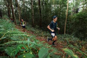 BIB: 5061
                            <button type="button" onclick="openModal(22486255)" class="btn btn-primary btn-sm float-right btn-popup" data-toggle="modal" data-target=".modal-high-quality">
                        <i class="fas fa-shopping-cart"></i> Add to Cart
                    </button>
                                            <button type="button" onclick="isThisMe(22486255, true)" class="btn btn-success btn-sm float-right btn-popup btn-isme hidden" data-toggle="tooltip" data-placement="bottom" title="นี่คือรูปของคุณใช่ไหม คลิกที่นี่เพื่อเอาเข้าอัลบั้ม">
                        <i class="fas fa-plus"></i> Add to album
                    </button>
                    <button type="button" onclick="isThisMe(22486255, false)" class="btn btn-warning btn-sm float-right btn-popup btn-isnotme hidden">
                        <i class="fas fa-ban"></i> Remove from album
                    </button>