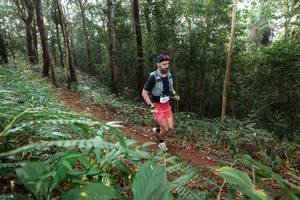 BIB: 
                            <button type="button" onclick="openModal(22485951)" class="btn btn-primary btn-sm float-right btn-popup" data-toggle="modal" data-target=".modal-high-quality">
                        <i class="fas fa-shopping-cart"></i> Add to Cart
                    </button>
                                            <button type="button" onclick="isThisMe(22485951, true)" class="btn btn-success btn-sm float-right btn-popup btn-isme hidden" data-toggle="tooltip" data-placement="bottom" title="นี่คือรูปของคุณใช่ไหม คลิกที่นี่เพื่อเอาเข้าอัลบั้ม">
                        <i class="fas fa-plus"></i> Add to album
                    </button>
                    <button type="button" onclick="isThisMe(22485951, false)" class="btn btn-warning btn-sm float-right btn-popup btn-isnotme hidden">
                        <i class="fas fa-ban"></i> Remove from album
                    </button>