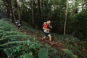 BIB: 
                            <button type="button" onclick="openModal(22464354)" class="btn btn-primary btn-sm float-right btn-popup" data-toggle="modal" data-target=".modal-high-quality">
                        <i class="fas fa-shopping-cart"></i> Add to Cart
                    </button>
                                            <button type="button" onclick="isThisMe(22464354, true)" class="btn btn-success btn-sm float-right btn-popup btn-isme hidden" data-toggle="tooltip" data-placement="bottom" title="นี่คือรูปของคุณใช่ไหม คลิกที่นี่เพื่อเอาเข้าอัลบั้ม">
                        <i class="fas fa-plus"></i> Add to album
                    </button>
                    <button type="button" onclick="isThisMe(22464354, false)" class="btn btn-warning btn-sm float-right btn-popup btn-isnotme hidden">
                        <i class="fas fa-ban"></i> Remove from album
                    </button>