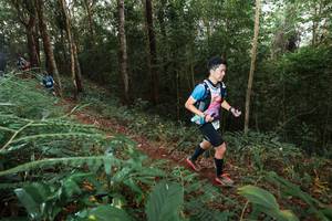 BIB: 
                            <button type="button" onclick="openModal(22464567)" class="btn btn-primary btn-sm float-right btn-popup" data-toggle="modal" data-target=".modal-high-quality">
                        <i class="fas fa-shopping-cart"></i> Add to Cart
                    </button>
                                            <button type="button" onclick="isThisMe(22464567, true)" class="btn btn-success btn-sm float-right btn-popup btn-isme hidden" data-toggle="tooltip" data-placement="bottom" title="นี่คือรูปของคุณใช่ไหม คลิกที่นี่เพื่อเอาเข้าอัลบั้ม">
                        <i class="fas fa-plus"></i> Add to album
                    </button>
                    <button type="button" onclick="isThisMe(22464567, false)" class="btn btn-warning btn-sm float-right btn-popup btn-isnotme hidden">
                        <i class="fas fa-ban"></i> Remove from album
                    </button>