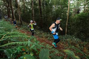 BIB: 
                            <button type="button" onclick="openModal(22464749)" class="btn btn-primary btn-sm float-right btn-popup" data-toggle="modal" data-target=".modal-high-quality">
                        <i class="fas fa-shopping-cart"></i> Add to Cart
                    </button>
                                            <button type="button" onclick="isThisMe(22464749, true)" class="btn btn-success btn-sm float-right btn-popup btn-isme hidden" data-toggle="tooltip" data-placement="bottom" title="นี่คือรูปของคุณใช่ไหม คลิกที่นี่เพื่อเอาเข้าอัลบั้ม">
                        <i class="fas fa-plus"></i> Add to album
                    </button>
                    <button type="button" onclick="isThisMe(22464749, false)" class="btn btn-warning btn-sm float-right btn-popup btn-isnotme hidden">
                        <i class="fas fa-ban"></i> Remove from album
                    </button>