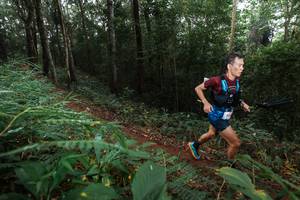 BIB: 
                            <button type="button" onclick="openModal(22483277)" class="btn btn-primary btn-sm float-right btn-popup" data-toggle="modal" data-target=".modal-high-quality">
                        <i class="fas fa-shopping-cart"></i> Add to Cart
                    </button>
                                            <button type="button" onclick="isThisMe(22483277, true)" class="btn btn-success btn-sm float-right btn-popup btn-isme hidden" data-toggle="tooltip" data-placement="bottom" title="นี่คือรูปของคุณใช่ไหม คลิกที่นี่เพื่อเอาเข้าอัลบั้ม">
                        <i class="fas fa-plus"></i> Add to album
                    </button>
                    <button type="button" onclick="isThisMe(22483277, false)" class="btn btn-warning btn-sm float-right btn-popup btn-isnotme hidden">
                        <i class="fas fa-ban"></i> Remove from album
                    </button>