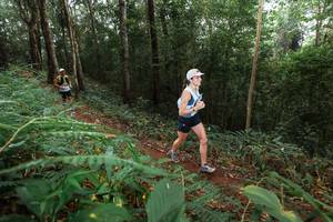 BIB: 
                            <button type="button" onclick="openModal(22481284)" class="btn btn-primary btn-sm float-right btn-popup" data-toggle="modal" data-target=".modal-high-quality">
                        <i class="fas fa-shopping-cart"></i> Add to Cart
                    </button>
                                            <button type="button" onclick="isThisMe(22481284, true)" class="btn btn-success btn-sm float-right btn-popup btn-isme hidden" data-toggle="tooltip" data-placement="bottom" title="นี่คือรูปของคุณใช่ไหม คลิกที่นี่เพื่อเอาเข้าอัลบั้ม">
                        <i class="fas fa-plus"></i> Add to album
                    </button>
                    <button type="button" onclick="isThisMe(22481284, false)" class="btn btn-warning btn-sm float-right btn-popup btn-isnotme hidden">
                        <i class="fas fa-ban"></i> Remove from album
                    </button>