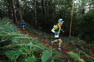 BIB: 5277
                            <button type="button" onclick="openModal(22488037)" class="btn btn-primary btn-sm float-right btn-popup" data-toggle="modal" data-target=".modal-high-quality">
                        <i class="fas fa-shopping-cart"></i> Add to Cart
                    </button>
                                            <button type="button" onclick="isThisMe(22488037, true)" class="btn btn-success btn-sm float-right btn-popup btn-isme hidden" data-toggle="tooltip" data-placement="bottom" title="นี่คือรูปของคุณใช่ไหม คลิกที่นี่เพื่อเอาเข้าอัลบั้ม">
                        <i class="fas fa-plus"></i> Add to album
                    </button>
                    <button type="button" onclick="isThisMe(22488037, false)" class="btn btn-warning btn-sm float-right btn-popup btn-isnotme hidden">
                        <i class="fas fa-ban"></i> Remove from album
                    </button>