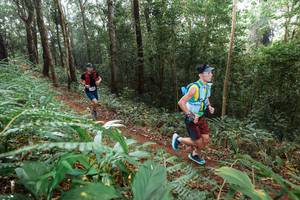 BIB: 
                            <button type="button" onclick="openModal(22485864)" class="btn btn-primary btn-sm float-right btn-popup" data-toggle="modal" data-target=".modal-high-quality">
                        <i class="fas fa-shopping-cart"></i> Add to Cart
                    </button>
                                            <button type="button" onclick="isThisMe(22485864, true)" class="btn btn-success btn-sm float-right btn-popup btn-isme hidden" data-toggle="tooltip" data-placement="bottom" title="นี่คือรูปของคุณใช่ไหม คลิกที่นี่เพื่อเอาเข้าอัลบั้ม">
                        <i class="fas fa-plus"></i> Add to album
                    </button>
                    <button type="button" onclick="isThisMe(22485864, false)" class="btn btn-warning btn-sm float-right btn-popup btn-isnotme hidden">
                        <i class="fas fa-ban"></i> Remove from album
                    </button>