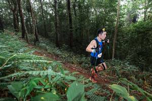 BIB: 
                            <button type="button" onclick="openModal(22484262)" class="btn btn-primary btn-sm float-right btn-popup" data-toggle="modal" data-target=".modal-high-quality">
                        <i class="fas fa-shopping-cart"></i> Add to Cart
                    </button>
                                            <button type="button" onclick="isThisMe(22484262, true)" class="btn btn-success btn-sm float-right btn-popup btn-isme hidden" data-toggle="tooltip" data-placement="bottom" title="นี่คือรูปของคุณใช่ไหม คลิกที่นี่เพื่อเอาเข้าอัลบั้ม">
                        <i class="fas fa-plus"></i> Add to album
                    </button>
                    <button type="button" onclick="isThisMe(22484262, false)" class="btn btn-warning btn-sm float-right btn-popup btn-isnotme hidden">
                        <i class="fas fa-ban"></i> Remove from album
                    </button>