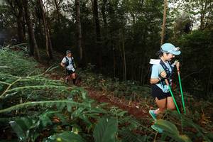 BIB: 
                            <button type="button" onclick="openModal(22462813)" class="btn btn-primary btn-sm float-right btn-popup" data-toggle="modal" data-target=".modal-high-quality">
                        <i class="fas fa-shopping-cart"></i> Add to Cart
                    </button>
                                            <button type="button" onclick="isThisMe(22462813, true)" class="btn btn-success btn-sm float-right btn-popup btn-isme hidden" data-toggle="tooltip" data-placement="bottom" title="นี่คือรูปของคุณใช่ไหม คลิกที่นี่เพื่อเอาเข้าอัลบั้ม">
                        <i class="fas fa-plus"></i> Add to album
                    </button>
                    <button type="button" onclick="isThisMe(22462813, false)" class="btn btn-warning btn-sm float-right btn-popup btn-isnotme hidden">
                        <i class="fas fa-ban"></i> Remove from album
                    </button>