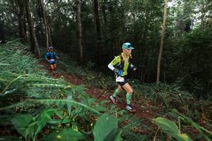 BIB: 
                            <button type="button" onclick="openModal(22487994)" class="btn btn-primary btn-sm float-right btn-popup" data-toggle="modal" data-target=".modal-high-quality">
                        <i class="fas fa-shopping-cart"></i> Add to Cart
                    </button>
                                            <button type="button" onclick="isThisMe(22487994, true)" class="btn btn-success btn-sm float-right btn-popup btn-isme hidden" data-toggle="tooltip" data-placement="bottom" title="นี่คือรูปของคุณใช่ไหม คลิกที่นี่เพื่อเอาเข้าอัลบั้ม">
                        <i class="fas fa-plus"></i> Add to album
                    </button>
                    <button type="button" onclick="isThisMe(22487994, false)" class="btn btn-warning btn-sm float-right btn-popup btn-isnotme hidden">
                        <i class="fas fa-ban"></i> Remove from album
                    </button>