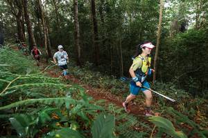 BIB: 
                            <button type="button" onclick="openModal(22464823)" class="btn btn-primary btn-sm float-right btn-popup" data-toggle="modal" data-target=".modal-high-quality">
                        <i class="fas fa-shopping-cart"></i> Add to Cart
                    </button>
                                            <button type="button" onclick="isThisMe(22464823, true)" class="btn btn-success btn-sm float-right btn-popup btn-isme hidden" data-toggle="tooltip" data-placement="bottom" title="นี่คือรูปของคุณใช่ไหม คลิกที่นี่เพื่อเอาเข้าอัลบั้ม">
                        <i class="fas fa-plus"></i> Add to album
                    </button>
                    <button type="button" onclick="isThisMe(22464823, false)" class="btn btn-warning btn-sm float-right btn-popup btn-isnotme hidden">
                        <i class="fas fa-ban"></i> Remove from album
                    </button>