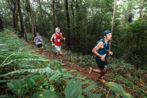 BIB: 
                            <button type="button" onclick="openModal(22480689)" class="btn btn-primary btn-sm float-right btn-popup" data-toggle="modal" data-target=".modal-high-quality">
                        <i class="fas fa-shopping-cart"></i> Add to Cart
                    </button>
                                            <button type="button" onclick="isThisMe(22480689, true)" class="btn btn-success btn-sm float-right btn-popup btn-isme hidden" data-toggle="tooltip" data-placement="bottom" title="นี่คือรูปของคุณใช่ไหม คลิกที่นี่เพื่อเอาเข้าอัลบั้ม">
                        <i class="fas fa-plus"></i> Add to album
                    </button>
                    <button type="button" onclick="isThisMe(22480689, false)" class="btn btn-warning btn-sm float-right btn-popup btn-isnotme hidden">
                        <i class="fas fa-ban"></i> Remove from album
                    </button>