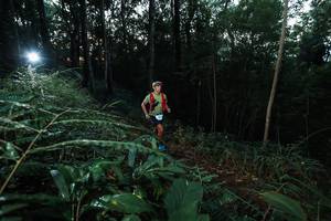 BIB: 
                            <button type="button" onclick="openModal(22450658)" class="btn btn-primary btn-sm float-right btn-popup" data-toggle="modal" data-target=".modal-high-quality">
                        <i class="fas fa-shopping-cart"></i> Add to Cart
                    </button>
                                            <button type="button" onclick="isThisMe(22450658, true)" class="btn btn-success btn-sm float-right btn-popup btn-isme hidden" data-toggle="tooltip" data-placement="bottom" title="นี่คือรูปของคุณใช่ไหม คลิกที่นี่เพื่อเอาเข้าอัลบั้ม">
                        <i class="fas fa-plus"></i> Add to album
                    </button>
                    <button type="button" onclick="isThisMe(22450658, false)" class="btn btn-warning btn-sm float-right btn-popup btn-isnotme hidden">
                        <i class="fas fa-ban"></i> Remove from album
                    </button>