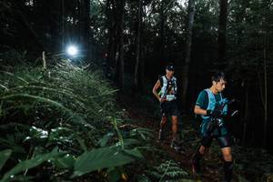 BIB: 
                            <button type="button" onclick="openModal(22447658)" class="btn btn-primary btn-sm float-right btn-popup" data-toggle="modal" data-target=".modal-high-quality">
                        <i class="fas fa-shopping-cart"></i> Add to Cart
                    </button>
                                            <button type="button" onclick="isThisMe(22447658, true)" class="btn btn-success btn-sm float-right btn-popup btn-isme hidden" data-toggle="tooltip" data-placement="bottom" title="นี่คือรูปของคุณใช่ไหม คลิกที่นี่เพื่อเอาเข้าอัลบั้ม">
                        <i class="fas fa-plus"></i> Add to album
                    </button>
                    <button type="button" onclick="isThisMe(22447658, false)" class="btn btn-warning btn-sm float-right btn-popup btn-isnotme hidden">
                        <i class="fas fa-ban"></i> Remove from album
                    </button>